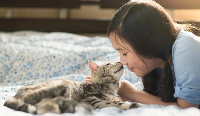 Young girl and kitten touching noses.